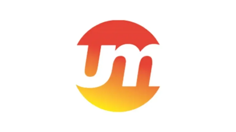 Usha Martin Share Price Target