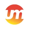 Usha Martin Share Price Target