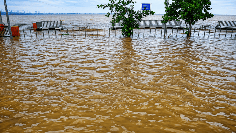 Bihar Flood Update
